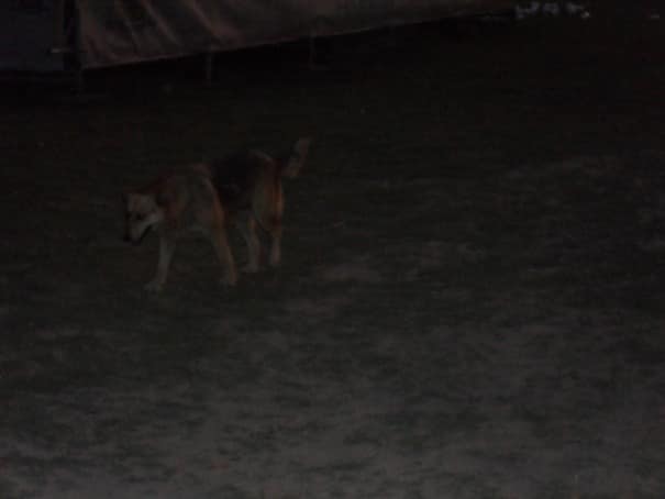 Kuca na otrvu Lido, avgust 2010.