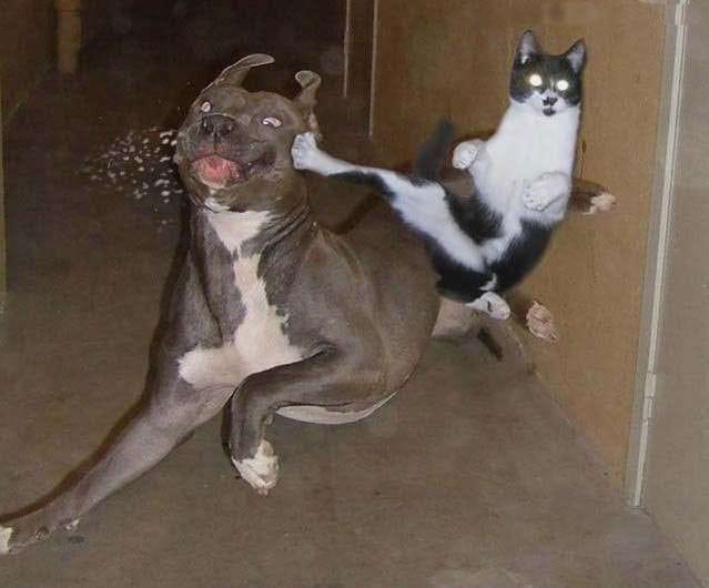 Matrix 4