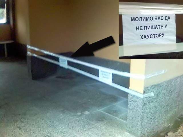 Dzabe molis